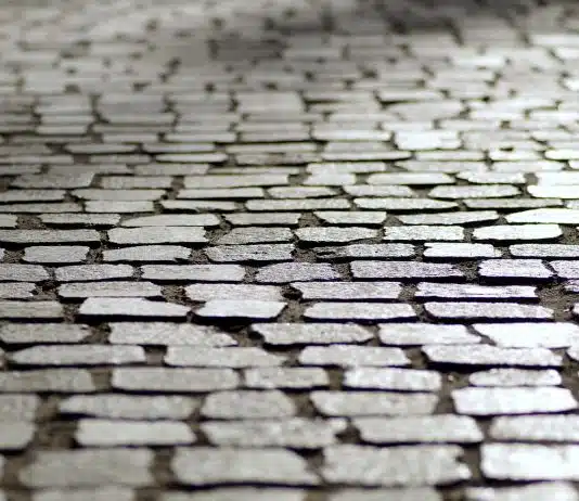 Pavage carrossable : les différents types de pavés