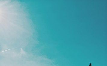 Réalisation de chalet habitable clé en main : votre projet sur mesure