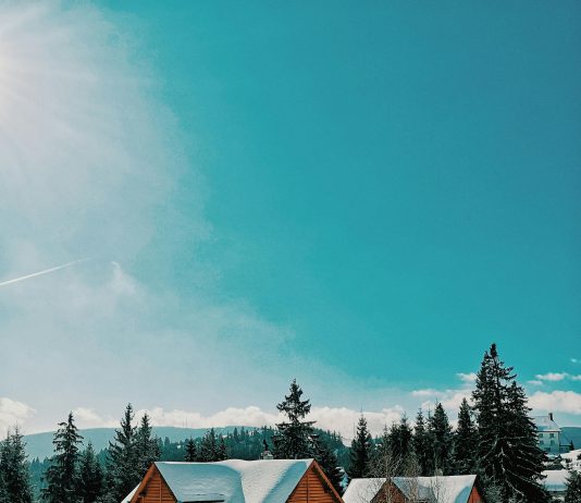 Réalisation de chalet habitable clé en main : votre projet sur mesure