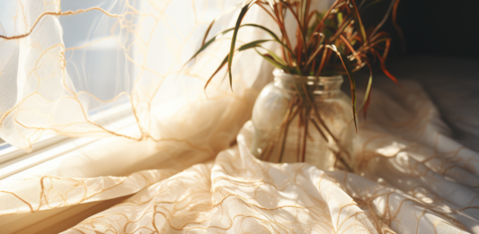 Origine et causes des infestations de punaises de lit : prévention et solutions