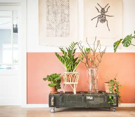 Design biophilique : bien-être, design d’intérieur et nature plantes d'intérieur