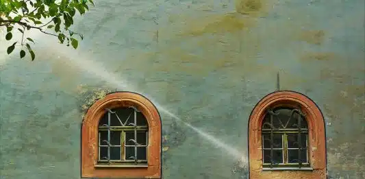 Zoom sur le traitement de la façade