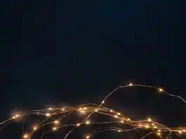 Les guirlandes lumineuses les plus originales pour Noël