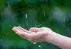 Maximiser l'utilisation de l'eau de pluie avantages et solutions innovantes