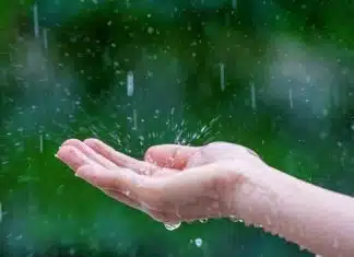 Maximiser l'utilisation de l'eau de pluie avantages et solutions innovantes