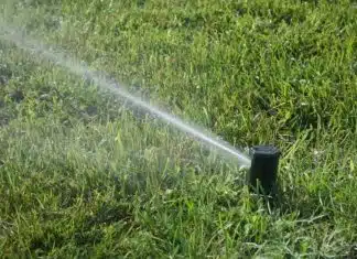 Optimisez l’irrigation de votre jardin : les meilleures solutions sur le marché Optimisez l'irrigation de votre jardin les meilleures solutions sur le marché