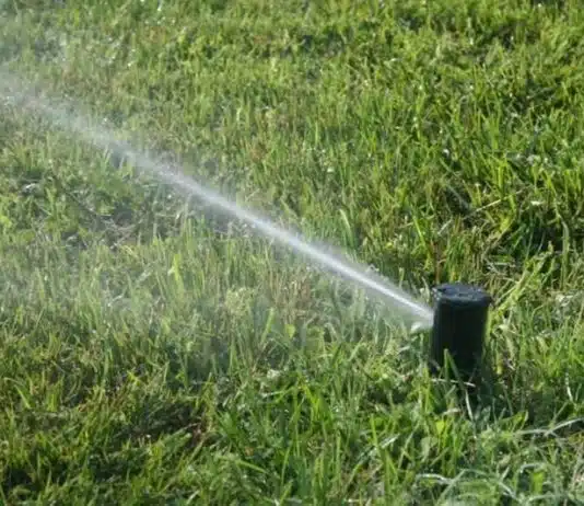 Optimisez l'irrigation de votre jardin les meilleures solutions sur le marché