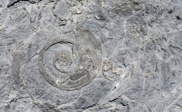 Cuve inox : comment choisir le modèle parfait pour vous ?