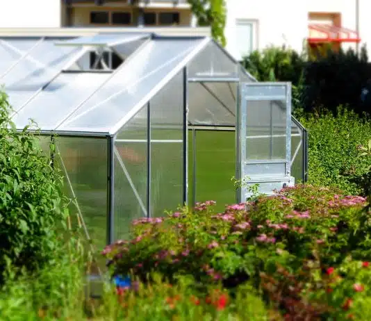 Les avantages d’installer une serre dans son jardin
