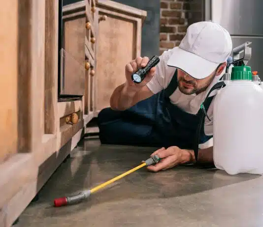 En quoi consiste le rôle d’un expert anti-nuisible ?