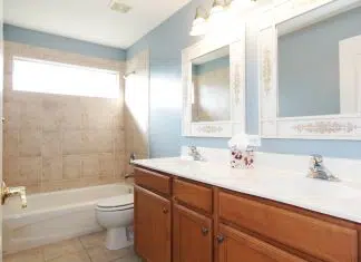 Qu’est-ce qu’un plan vasque ?