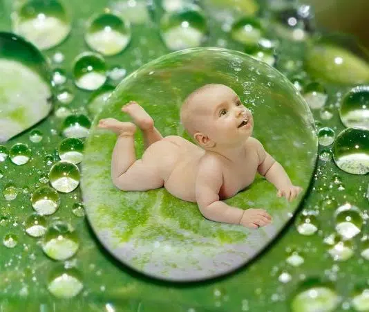 Pourquoi ne pas mettre une plante dans une chambre ?