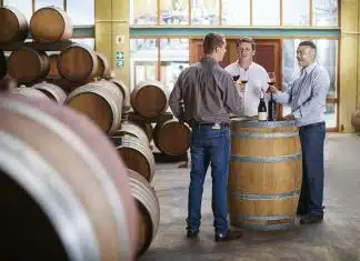 Quels sont les accessoires de vin à avoir pour une dégustation parfaite ?